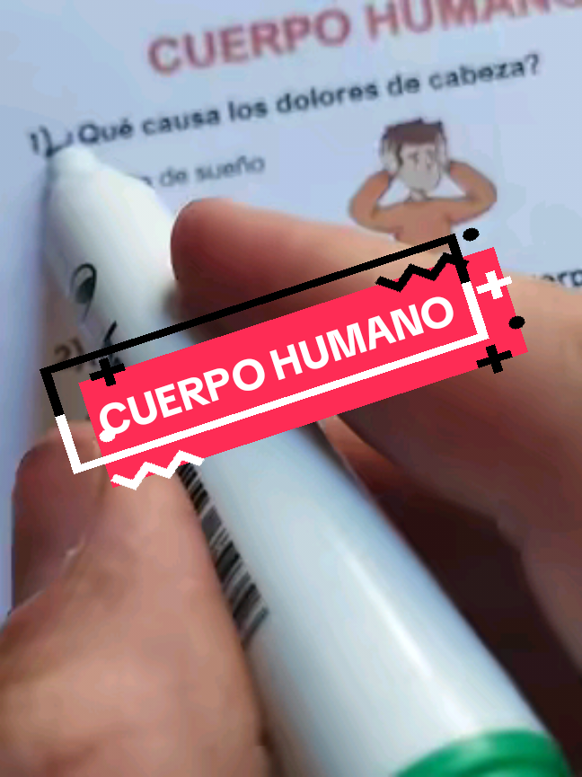 CUERPO HUMANO  #quiz #cuerpohumano #preguntasyrespuestas #anatomy #quizchallenge 