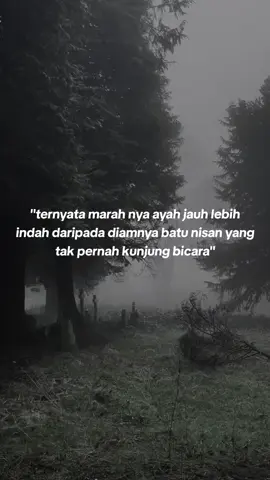 #ayahakurindu #sibungsu #kangenayahdisyurga😭 #xcyzbca 