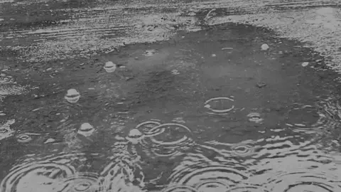 🌷  ،  .  .  #fypシ #explore #fyp #fypシ #fypシ 