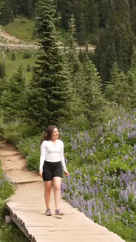 Going to miss summer #wildflowers #washington #pnw #Summer 