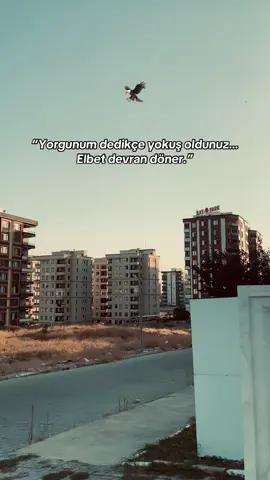 STORY 🦅#storylikvideolar📌 #duygusalvideolar #fypシ゚ #ağırsözler #raconsözler 