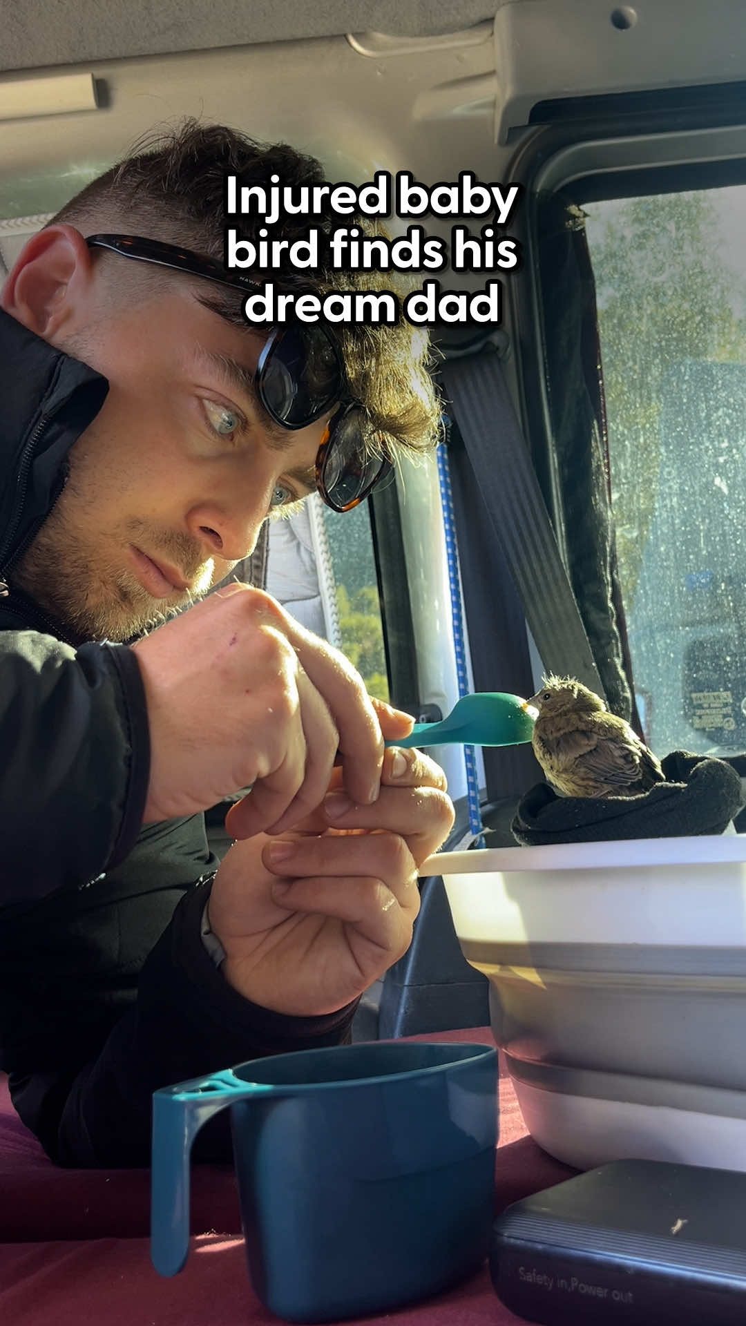 Until the little bird decided he was ready to fly away ❤️‍🩹 @Jordi O’Riordan told us how he'd wake up in the middle of the night just to make sure the bird was OK, and the very sweet thing he learned from this experience!