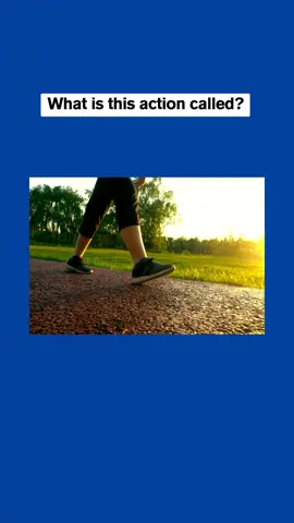 What Is This Called in English? #fyp #fypシ #TikTok #Viral #foryou #foryoupage #TiKTOKVIRAL