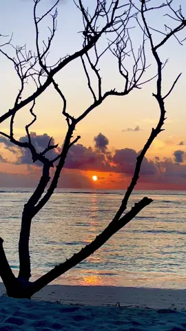Maine tujhe chaha toh, apna banaya toh ❤️  🫀                                 #fyp #hindisong #lyricsvideo #feelings #sunsetvideo 