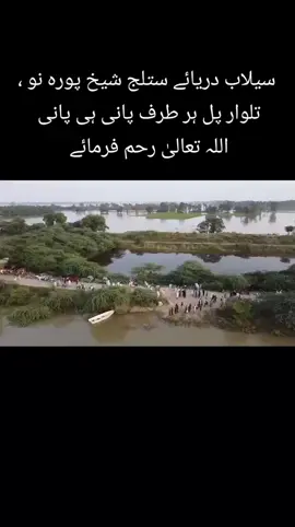 Sutluj river  #flood #sutlujriver #floodsutluj #punjab #pakistan  @Fanishughal @Taimoor  Baig @×͜×مرزا┊شرجیل┊بیگ @Mirza,,,jani @Afra ST @mirza.yasir.kasuri🇵🇰🇦🇪 @mirzasajidaziz @mirzasohaibadv3 