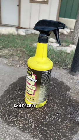 The cut off 🤣 but really though… is pyranha on tiktok? You girl needs help 😭 #flyspray #flycontrol #horseflies #pyranhaflyspray 