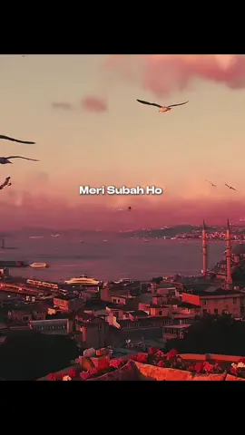 Janam Janam Saath Chalna Yunhi.. 🥹💕💕💕👫 #foryou #fyp #vyp #hindisong #🥺🥺🥺❤️❤️❤️ 