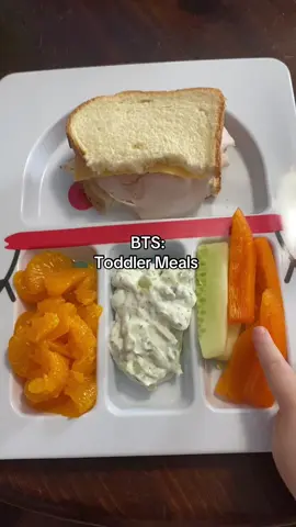 #fyp #toddlermealideas #toddlerlunch #toddlerlunch #behindthescenes 
