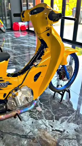 เหลืองสะอื้นน.🔥💛#เอ็มเอกชาติ #เหลืองสะอื้น #เต้บ้านสวน #เชงเงินล้าน #thailand🇹🇭 