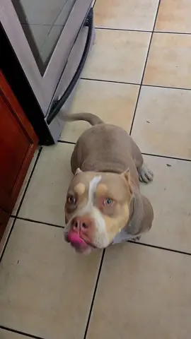 part 2 