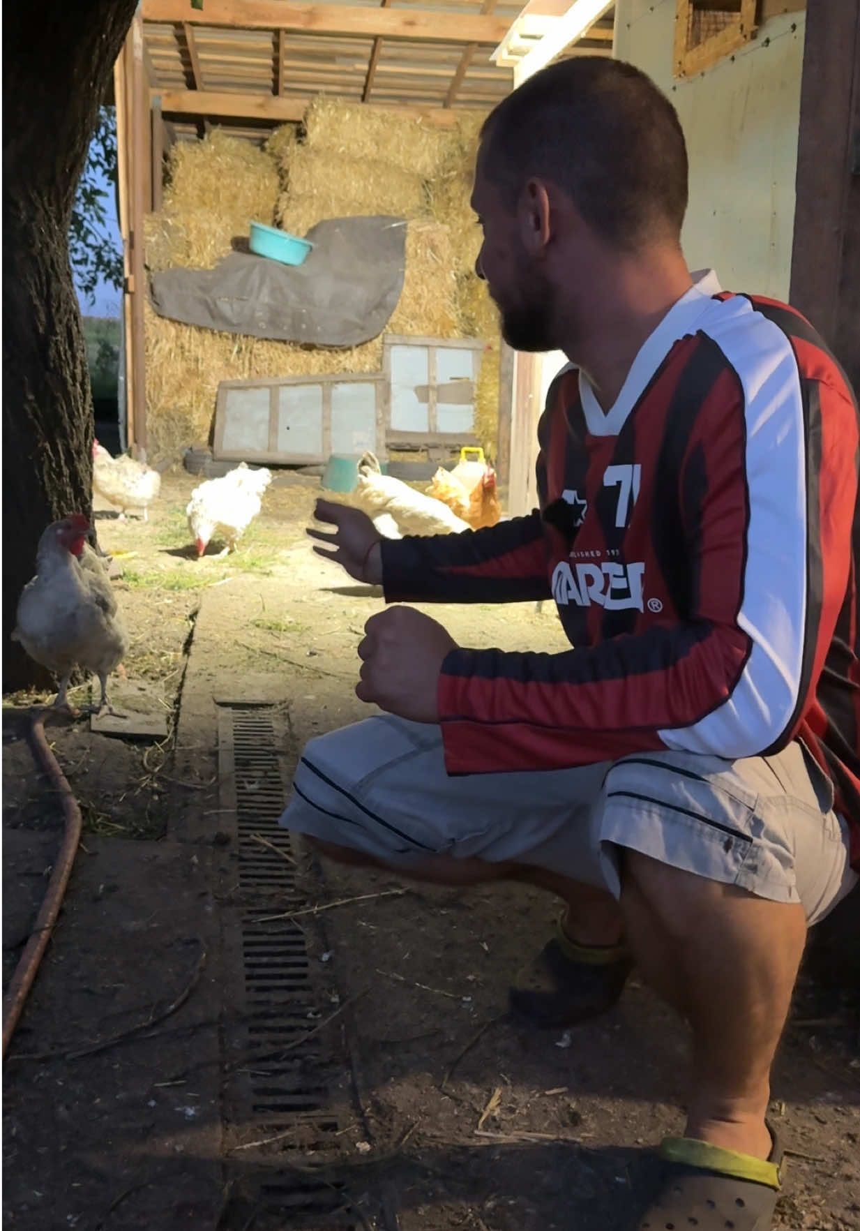 Вечір в селі