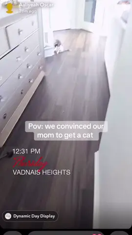 #somalitiktok 