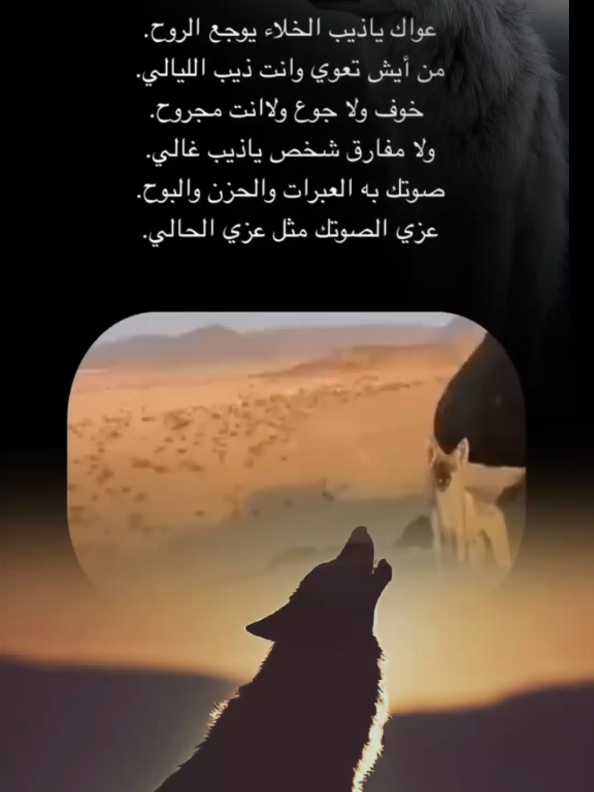 عواك ياذيب الخلايوجع الروح #الذيب #فانزخواطرعين #جزل_الابيات #خواطر_عين #اكسبلور 