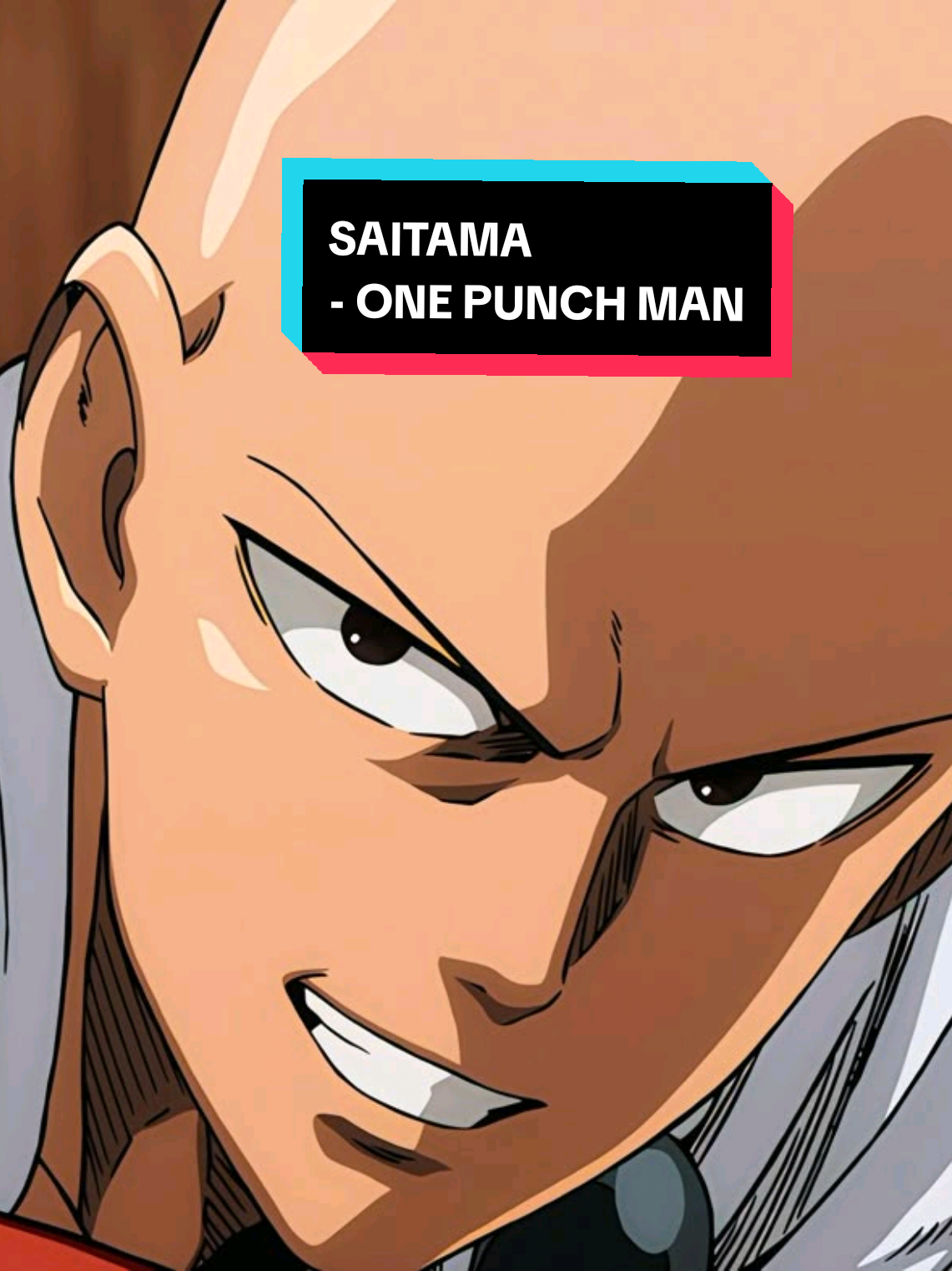 SAITAMA - ONE PUNCH MAN 