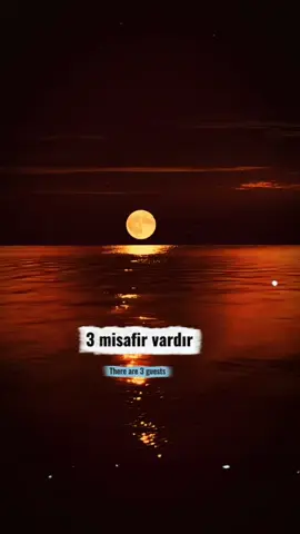 Üç Misafir: Rızık, Kader ve Ölüm… Hayatımıza üç misafir mutlaka gelir… Biri rızık; seni nerede olursan bulur. Biri kader; ders vermek için kapını çalar. Biri ölüm; haber vermeden gelir, alır götürür. Kayıp Sayfa der ki; “Rızkına şükret, kaderine sabret, ölümüne hazırlıklı ol… #keşfet #ölüm #kader #rızık #fypシ゚ 