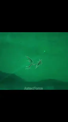 #gopes #extintapoliciafederal🇲🇽🦅 #mexico🇲🇽  #foryoupage❤️❤️ 