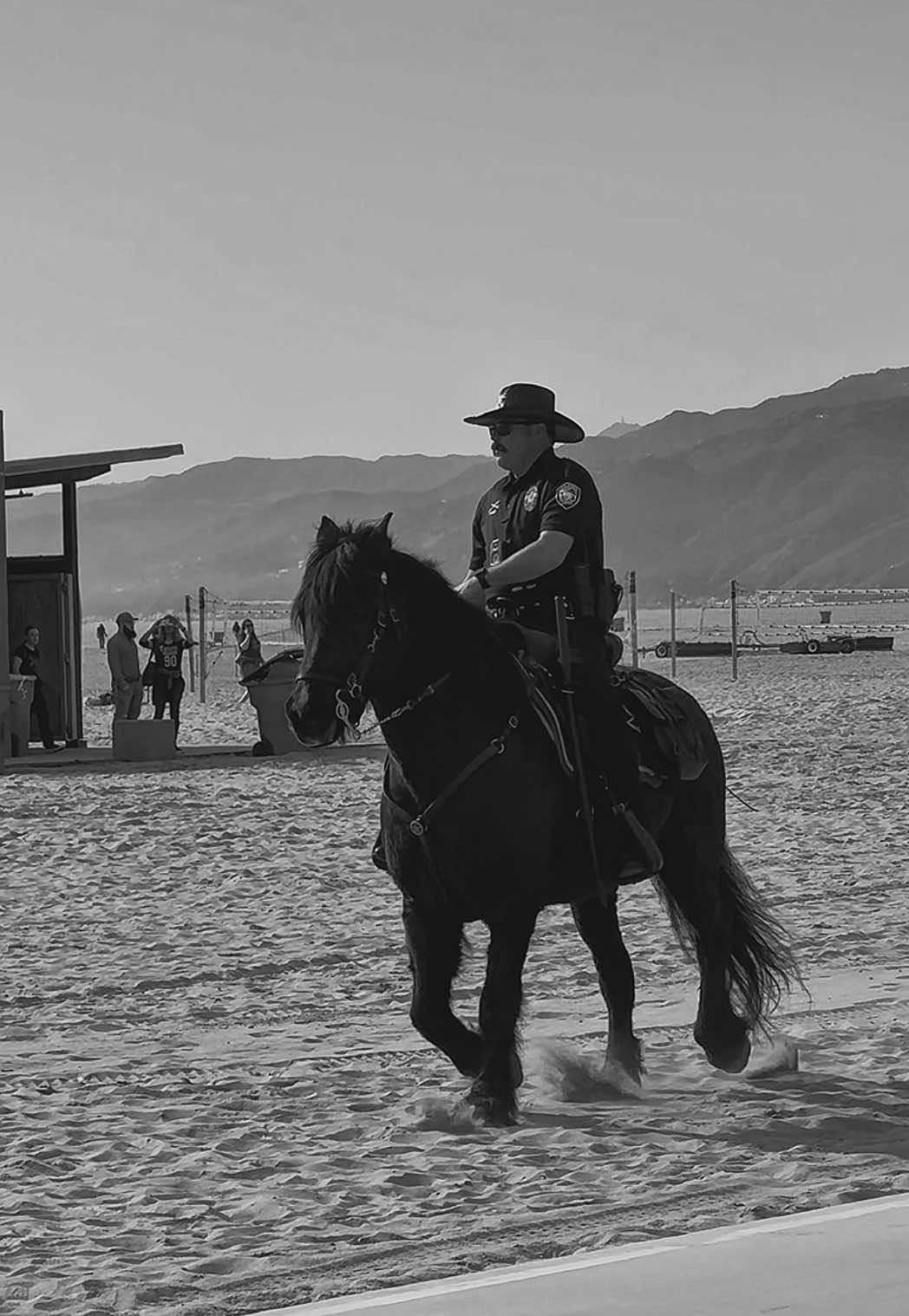 Sheriffs in town 🐴  #smpd #mountedunit  #equestrian #horses 
