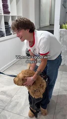 He can sing & he’s good with dogs??? #johnnyorlando 