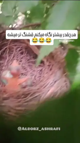 #😂 #صبر #فالو_کند_دوستان_عزیزم_جبران__میشه🥀👐 #خنده_رشخندي_شوخى 