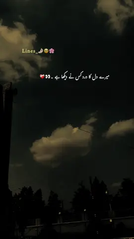 ہائے میرے دل کا درد کس نے دیکھا ہے 🫠💔#fyp #1millionaudition #foryoupagе #grow #account @TikTok 
