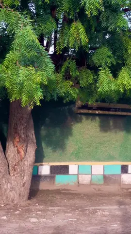 #CapCut #foryouu #oromotiktok #fyp #ethiopian_tik_tok🇪🇹🇪🇹🇪🇹🇪🇹 @🎧ÑÒVÀ 🇨🇦 