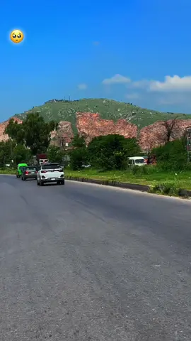 اے مخلوق بہڑ کےخدا ملدی پئُ اے🥹 👏🏻 #viralforyoupagetiktok #viral 