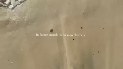 💔 #armenia #foryou #viral #rek 