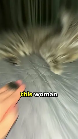 she put coins directly on cat 😱😁 #cat #amazing 
