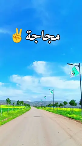 الشبايرية مجاجة شلف 😍 #الشلف #الشلفاوة_والحلاوة #explore #pourtoi #creatorsearchinsights @♥𝐇𝐚𝐤𝐢𝐦 𝟎𝟐♥ @♥𝐇𝐚𝐤𝐢𝐦 𝟎𝟐♥ @♥𝐇𝐚𝐤𝐢𝐦 𝟎𝟐♥ 