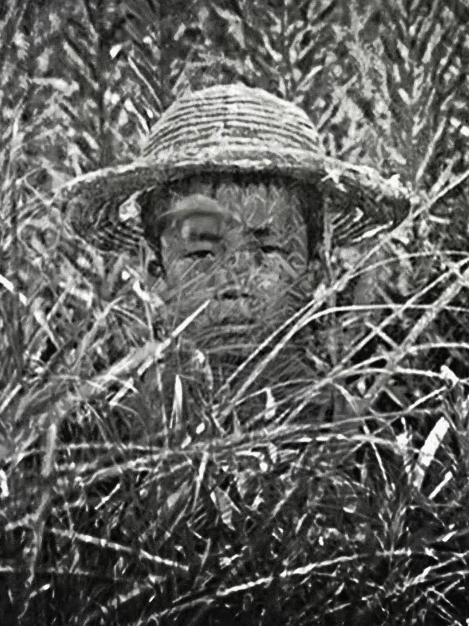 #pitfall #pitfall1962 #pitfalledit #pitfall1962edit #hiroshiteshigahara #edit #fyp