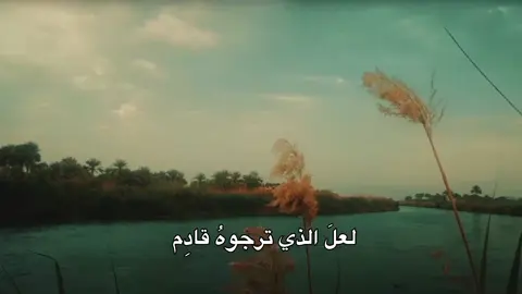 #قصائد_حسينية 