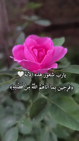 يارب شعور هذه الآية 🤍  #القرآن #explore #اكسبلور #تصميمي #لايك 