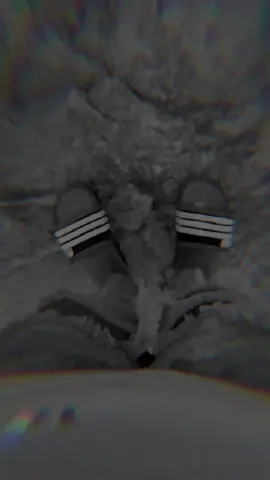 #macrodestylez #creatorsearchinsights #fyppppppppppppppppppppp #look #tell 