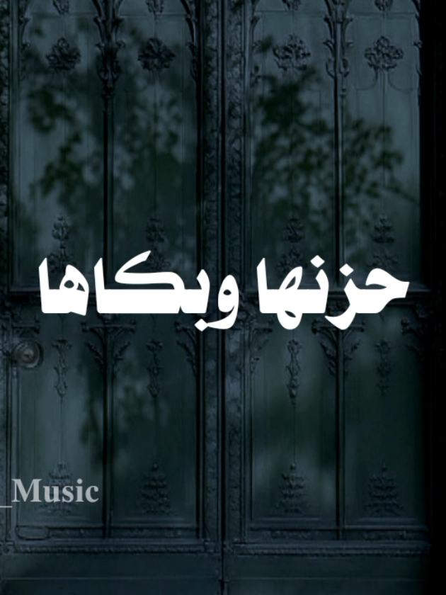 بدون موسيقى 🤎  #عيناها_نصفوها_مشتكاها #fypシ  #اناشيد #بدون_موسيقي #no_music 