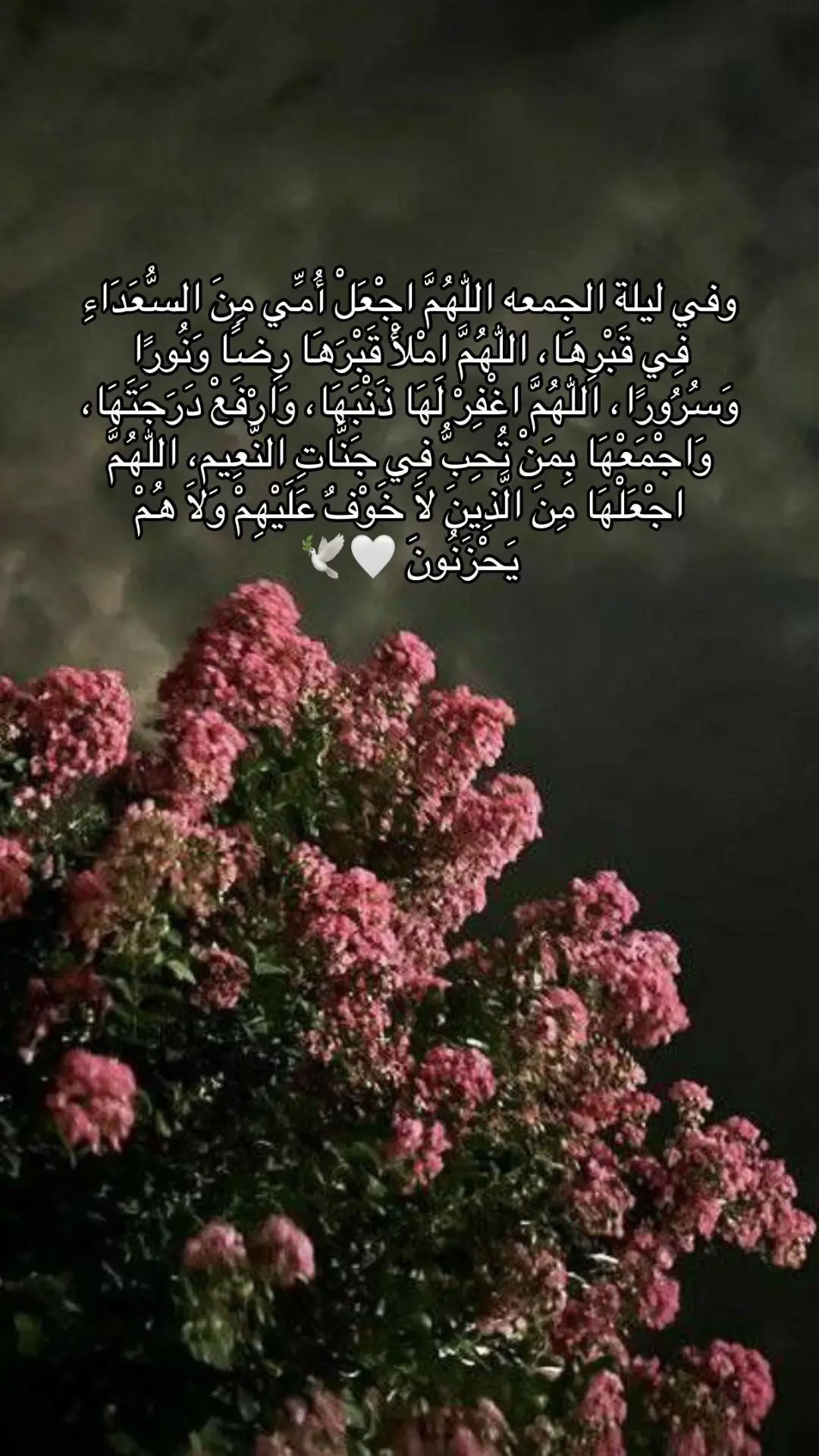 #صدقه_جاريه_لجميع_اموات_المسلمين #صدقه_جاريه_ل_امي_♥️ #لا_تنسوها_من_دعواتكم #فقيدتي_امي_افتقدك💔 #ماما #ربنا_يرحمك_يا_امي 