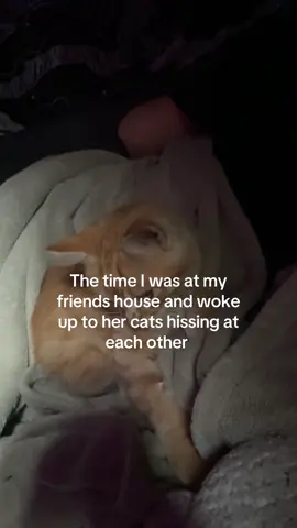 They hit each other after this 😹