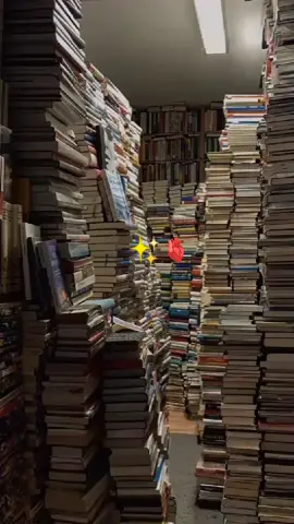 ما أجمل عالم الكتب ✍️📖📚 تابعوني للمزيد وشكرا لكم 🌹😊 .  رواتي مملكة سيفار قريبا 🔥 فتابعوني.  #عشاق_الكتب #روايات  #الكتب #BookTok #viral 