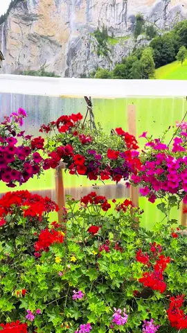 #وادي_لتروبن ‏‎‫#جريندلوالد‬ ‫#سويسرا‬ 🇨🇭 ‏ ‪#Grindelwald‬🇨🇭 ‏ ‪#Switzerland‬ ‪‬