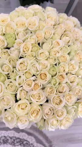 @Flowers & Garden  😍🤍
