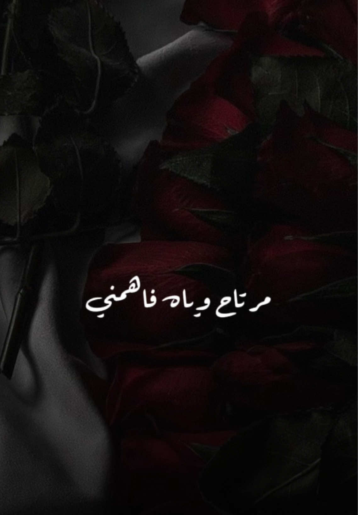 أنا عجبته و هــو حيـــل عاجبنــي💫✨مرتاح ويــاه فاهمــني و فاهـــم له💫 #مرتاح #راشديات💙 #راشد_الماجد #راشدالماجد #تصميم_فيديوهات🎶🎤🎬 