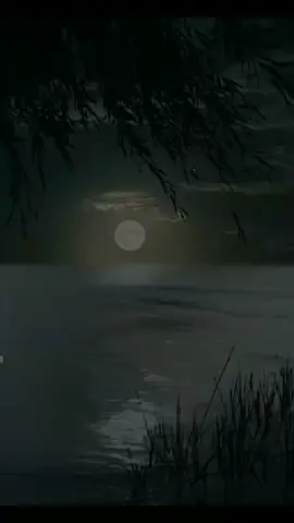 سورة الطور / القارئ سعود الفايز #اكتب_شيء_تؤجر_عليه🌿🕊 #لايك_متابعه_اكسبلور 