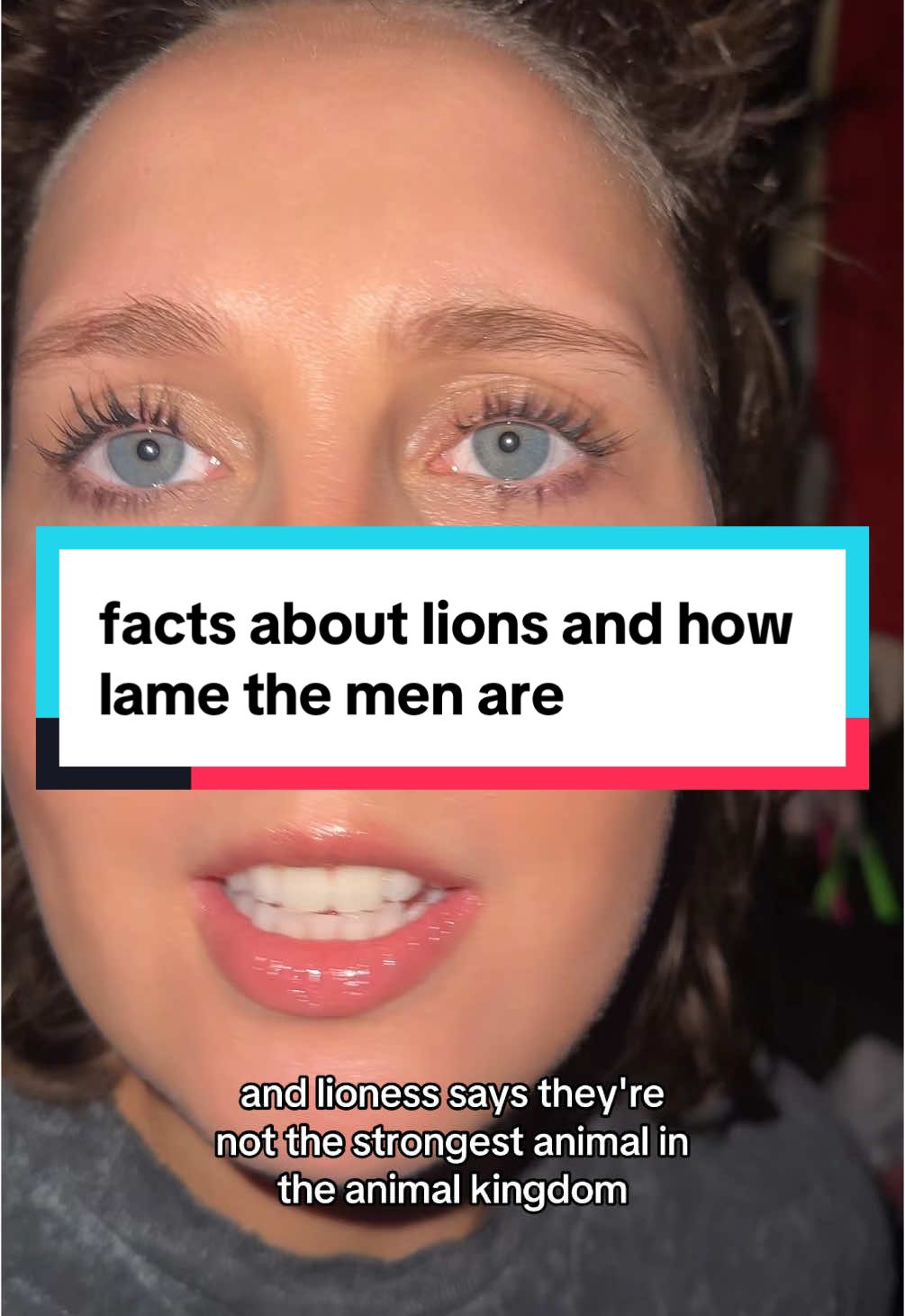 someone needs to let the male lions out of the closet so the lionesses can be free #lion #AnimalFacts #foryourpage 