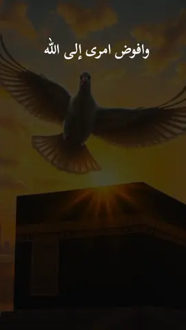 #CapCut #وافوض_امري_الى_الله_ان_الله_بصير_بالعباد #قران_كريم #ارح_سمعك_بالقران #صلى_على_رسول_الله_صل_الله_عليه_وسلم 
