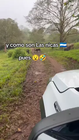 Mujeres tóxicas Nicaragua Celosas Chevrolet colorado 4x4 meme 