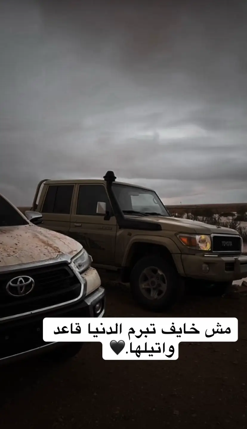 #مالي_خلق_احط_هاشتاقات 