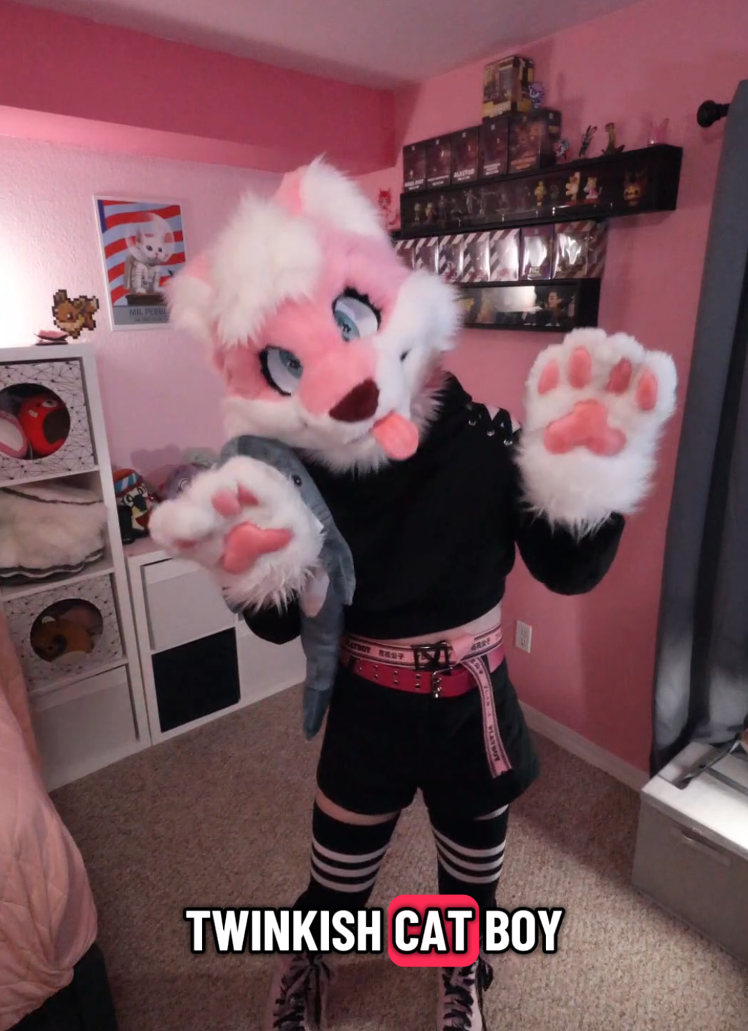 the best kind of cats #furry #furrymeme #femboy #furrycommunity #femboyhooters 