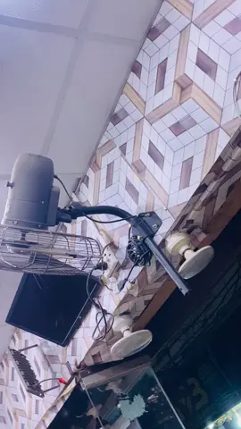 #New design Dream shop#😉😉😉 #foryou #foryoupage❤️❤️❤️❤️ #foryou #foryoupage❤️❤️❤️❤️ 