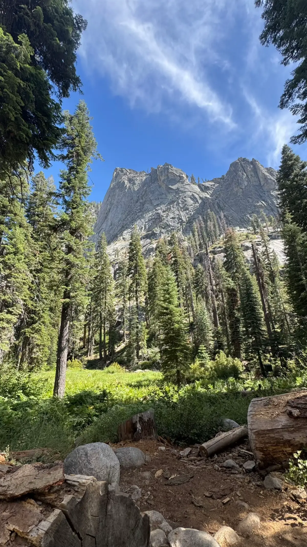 #wandern #usa #sequoianationalpark #Hiking #california 