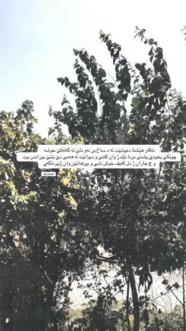 #بابو #رحيل_ابي_كسرني #نەخوشی #خەم #مرن 