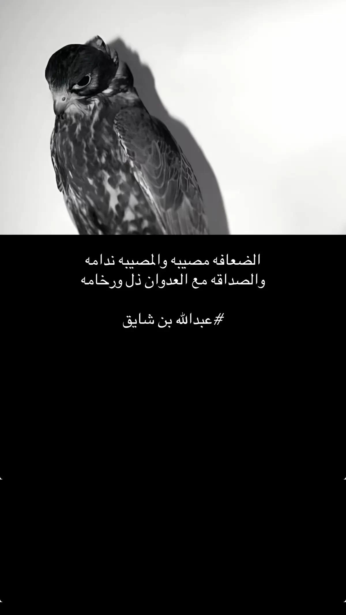 #متابعه_ولايك_واكسبلور_فضلا_ليس_امر #قصايد_شعر #قصيده_شعر_بوح_خواطر #اضافه_سناب #سنابي_بالبايو🤍 #الشعب_الصيني_ماله_حل😂😂 